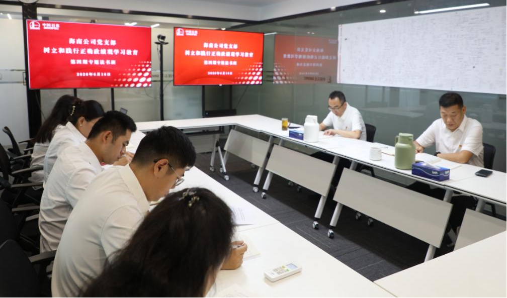 海南公司党支部学习教育读书班进行第四次集...